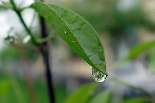 给幼儿元宵节祝福语