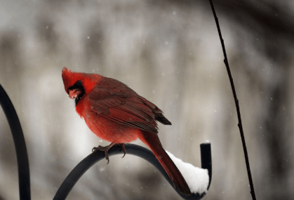 3月8号女生节说说 女生节祝福语逗比点